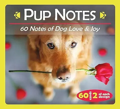Earrings US Games Systems Inc Pup Notes
