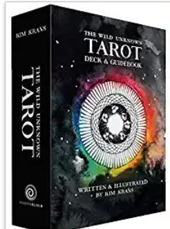 The Wild Unknown Tarot Deck and Guidebook Official Keepsake Box Set Ingram Earrings