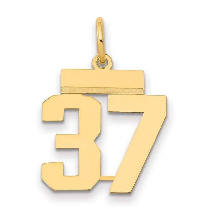 Charm Necklaces Goldia 14k Yellow Gold Small Polished Number 37 Charm