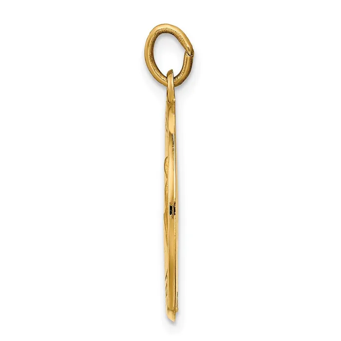 PreStyled Sets Goldia 14k Yellow Gold Saint Luke Medal Pendant
