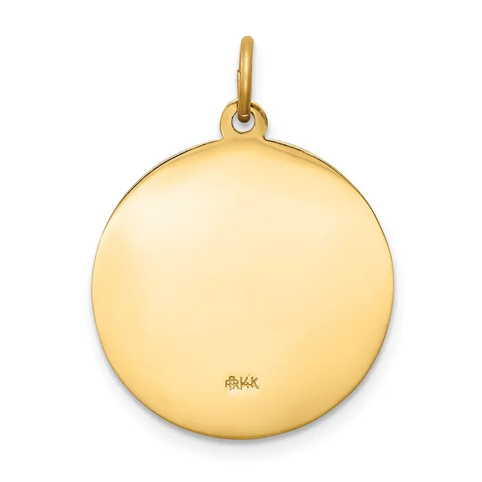 PreStyled Sets Goldia 14k Yellow Gold Saint Luke Medal Pendant